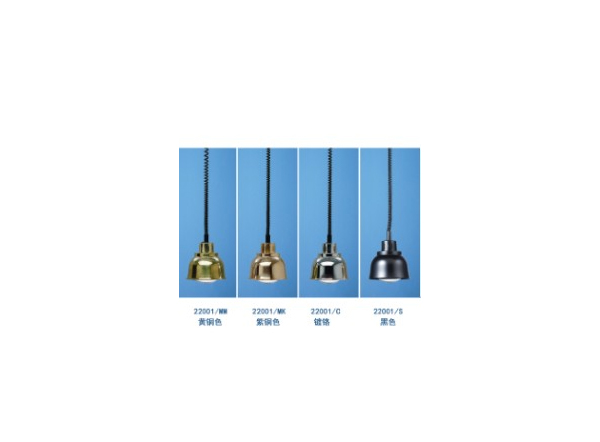 �¹�SCHOLL 22001ʳ�ﱣ�µ�